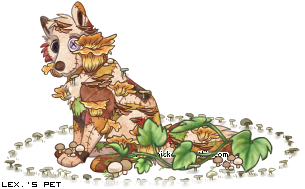 Dressed pet