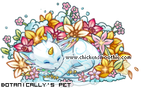 Dressed pet