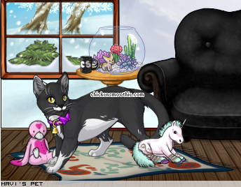 Dressed pet