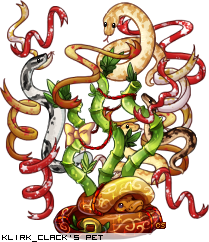 Dressed pet