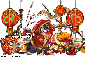 Dressed pet