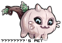 Dressed pet