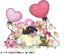 Dressed pet
