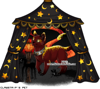 Dressed pet