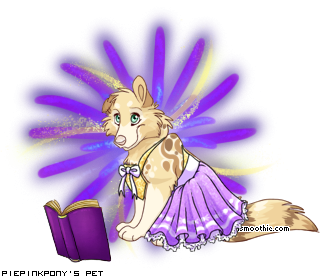Dressed pet