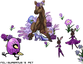 Dressed pet