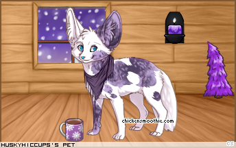 Dressed pet