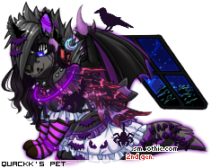 Dressed pet