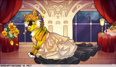 Dressed pet