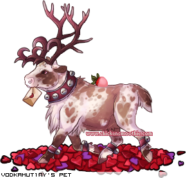 Dressed pet