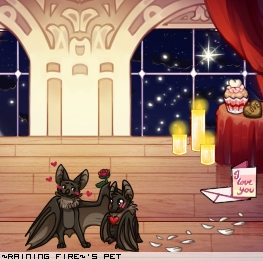 Dressed pet