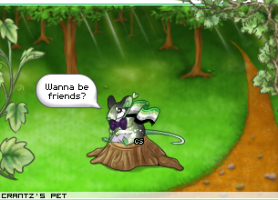 Dressed pet