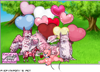 Dressed pet