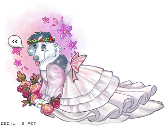 Dressed pet