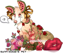 Dressed pet