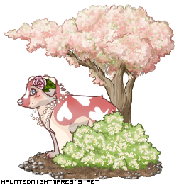 Dressed pet