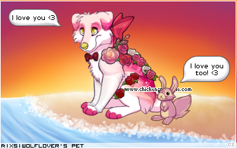 Dressed pet
