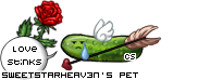 Dressed pet