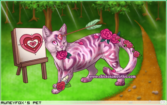 Dressed pet