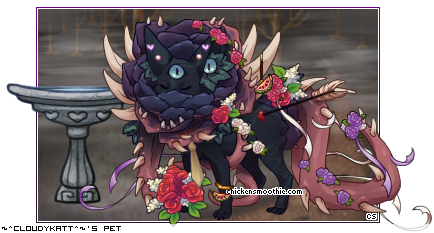 Dressed pet