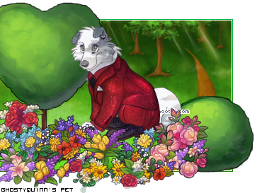 Dressed pet