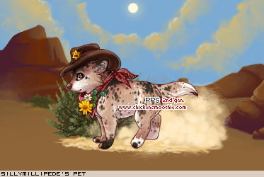Dressed pet