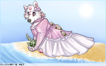 Dressed pet