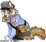 Dressed pet