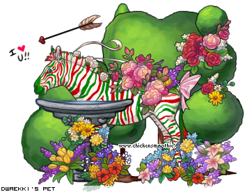 Dressed pet