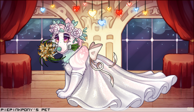 Dressed pet