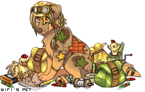 Dressed pet