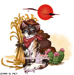 Dressed pet