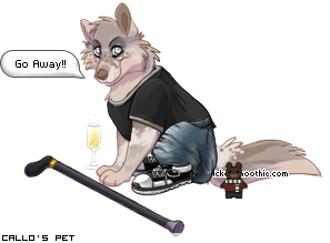 Dressed pet