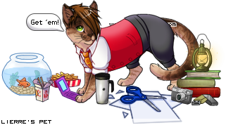 Dressed pet