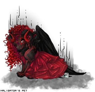 Dressed pet