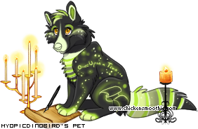 Dressed pet
