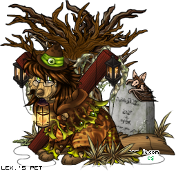 Dressed pet