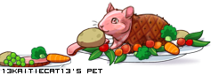 Dressed pet
