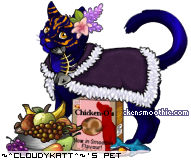 Dressed pet