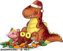 Dressed pet
