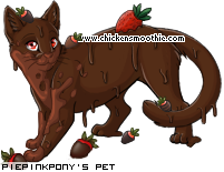 Dressed pet