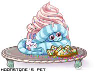 Dressed pet