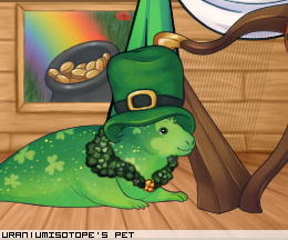 Dressed pet