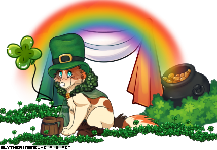 Dressed pet