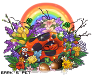 Dressed pet