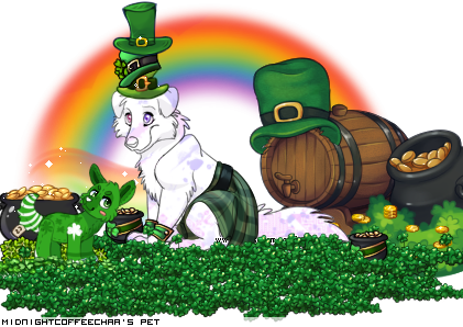 Dressed pet