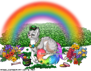 Dressed pet