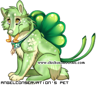 Dressed pet