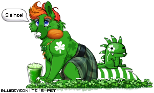 Dressed pet