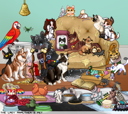 Dressed pet